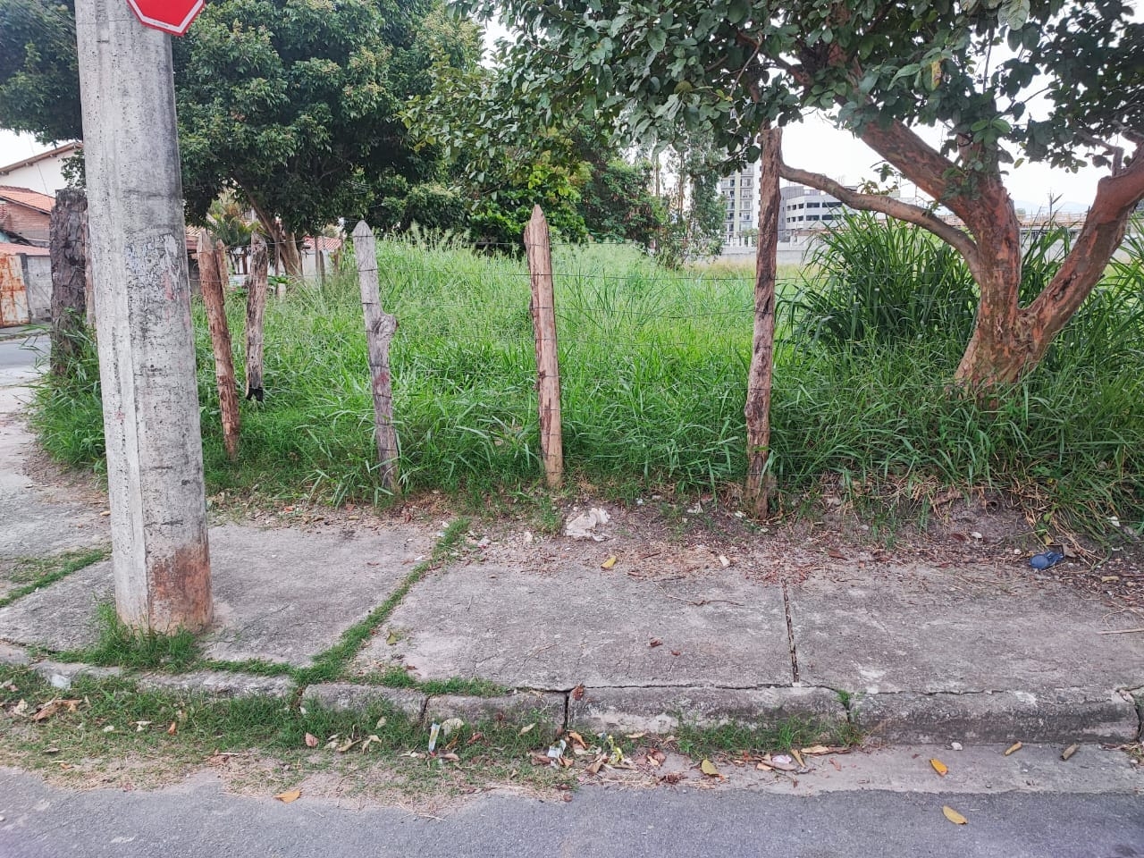 Terreno à venda, 300m² - Foto 2