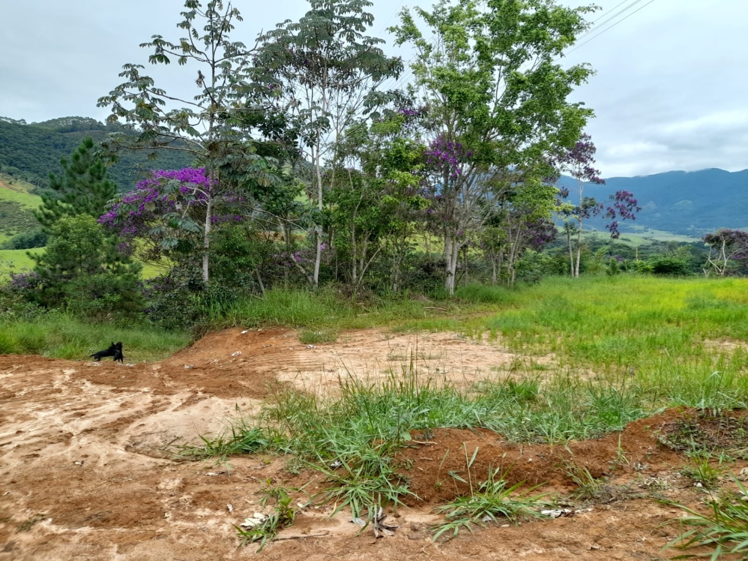 Terreno, 10000 m² - Foto 1