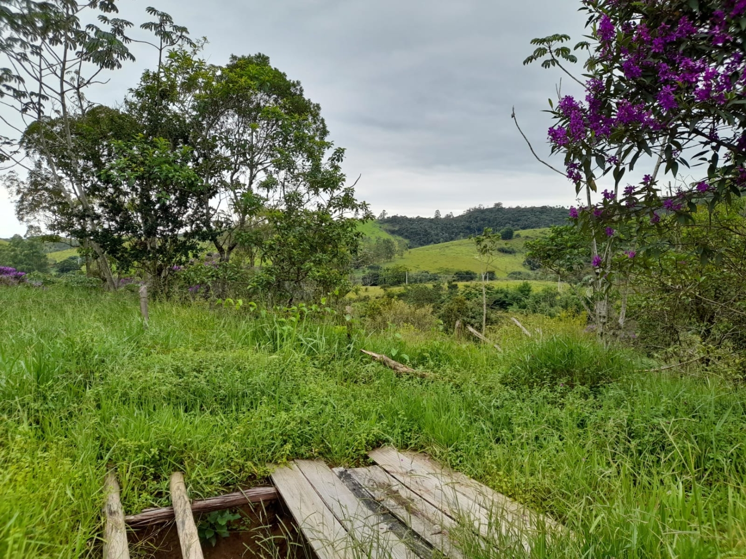 Terreno, 10000 m² - Foto 2