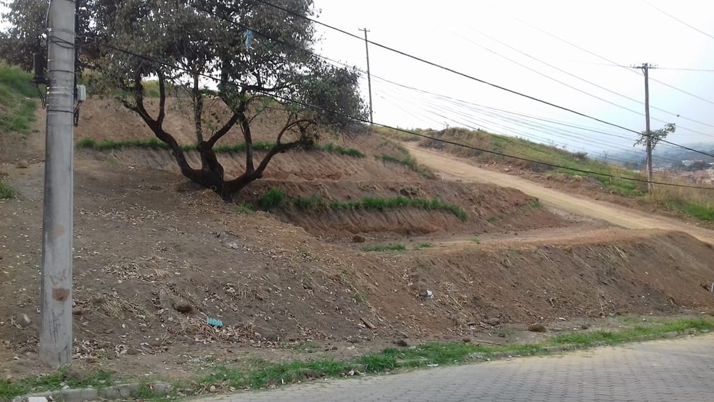 Terreno, 378 m² - Foto 6