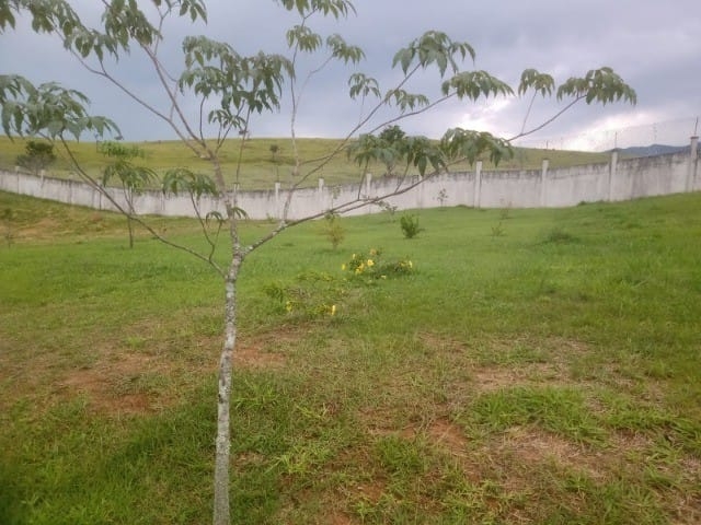 Terreno, 1024 m² - Foto 2