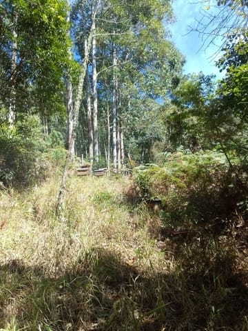 Terreno, 1200 m² - Foto 1