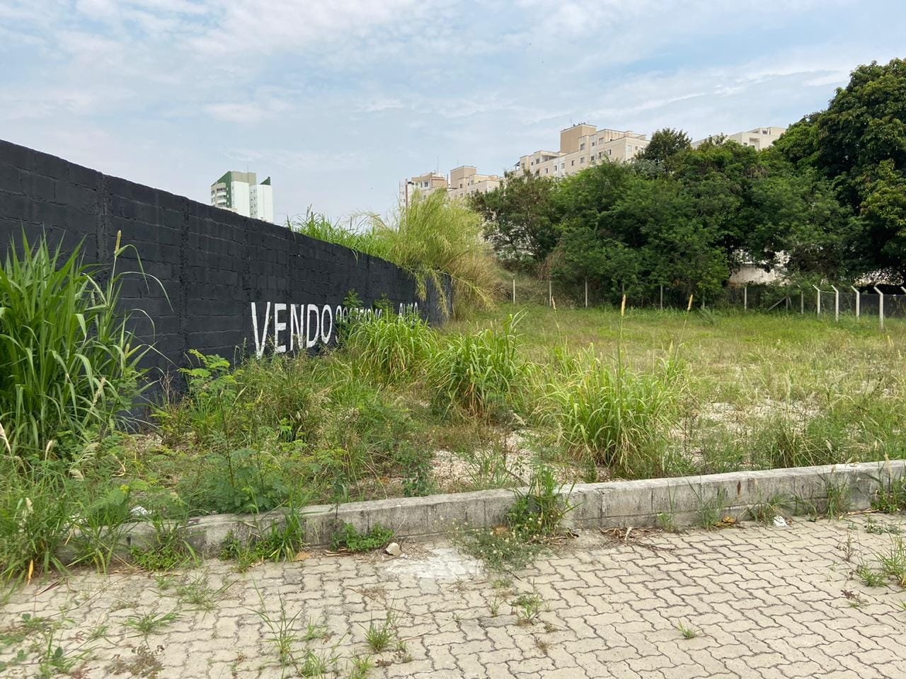 Terreno, 1125 m² - Foto 3