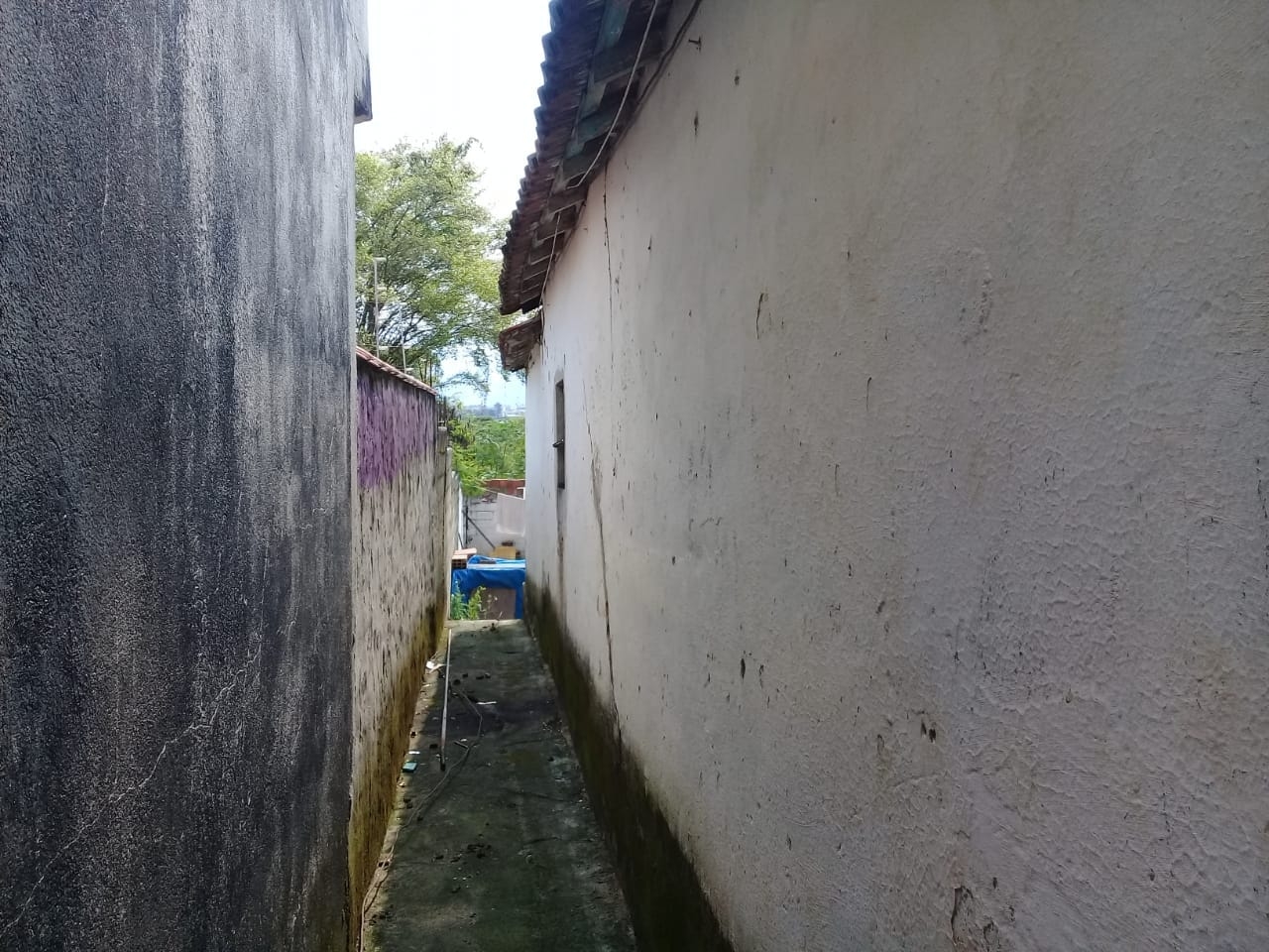 Terreno, 320 m² - Foto 4