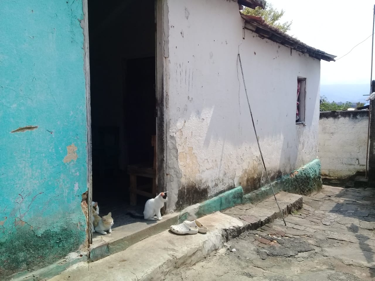 Terreno, 320 m² - Foto 9