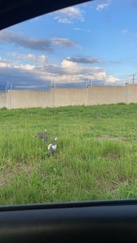 Terreno, 275 m² - Foto 2