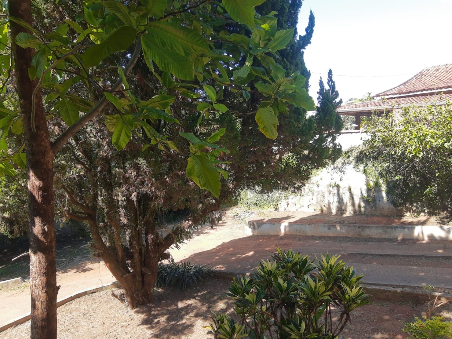 Terreno, 1200 m² - Foto 1