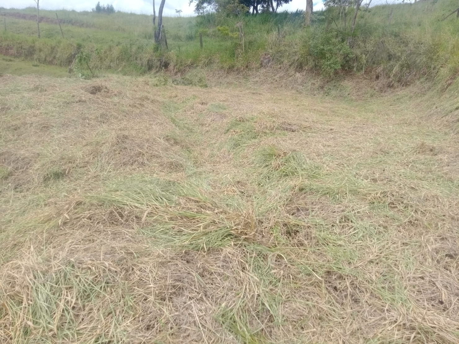 Terreno, 1110 m² - Foto 4