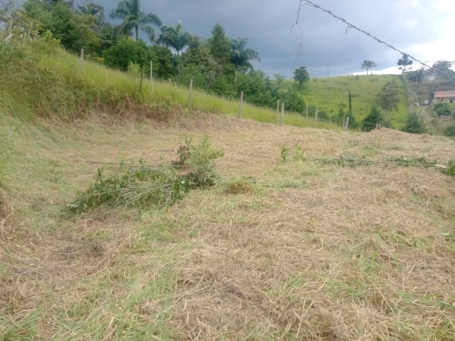 Terreno, 1110 m² - Foto 12