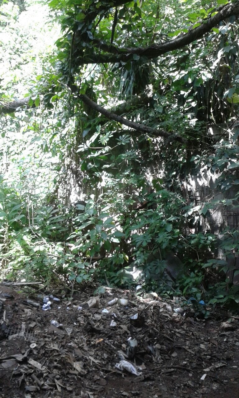 Terreno à venda, 1579m² - Foto 4