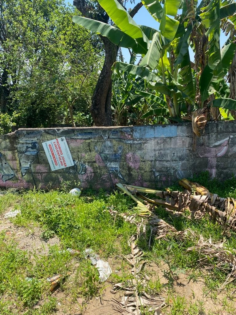 Terreno à venda, 8200m² - Foto 7