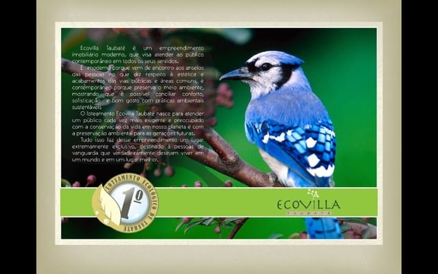 Terreno, 312 m² - Foto 6