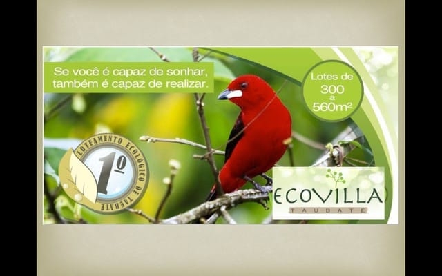 Terreno, 312 m² - Foto 14