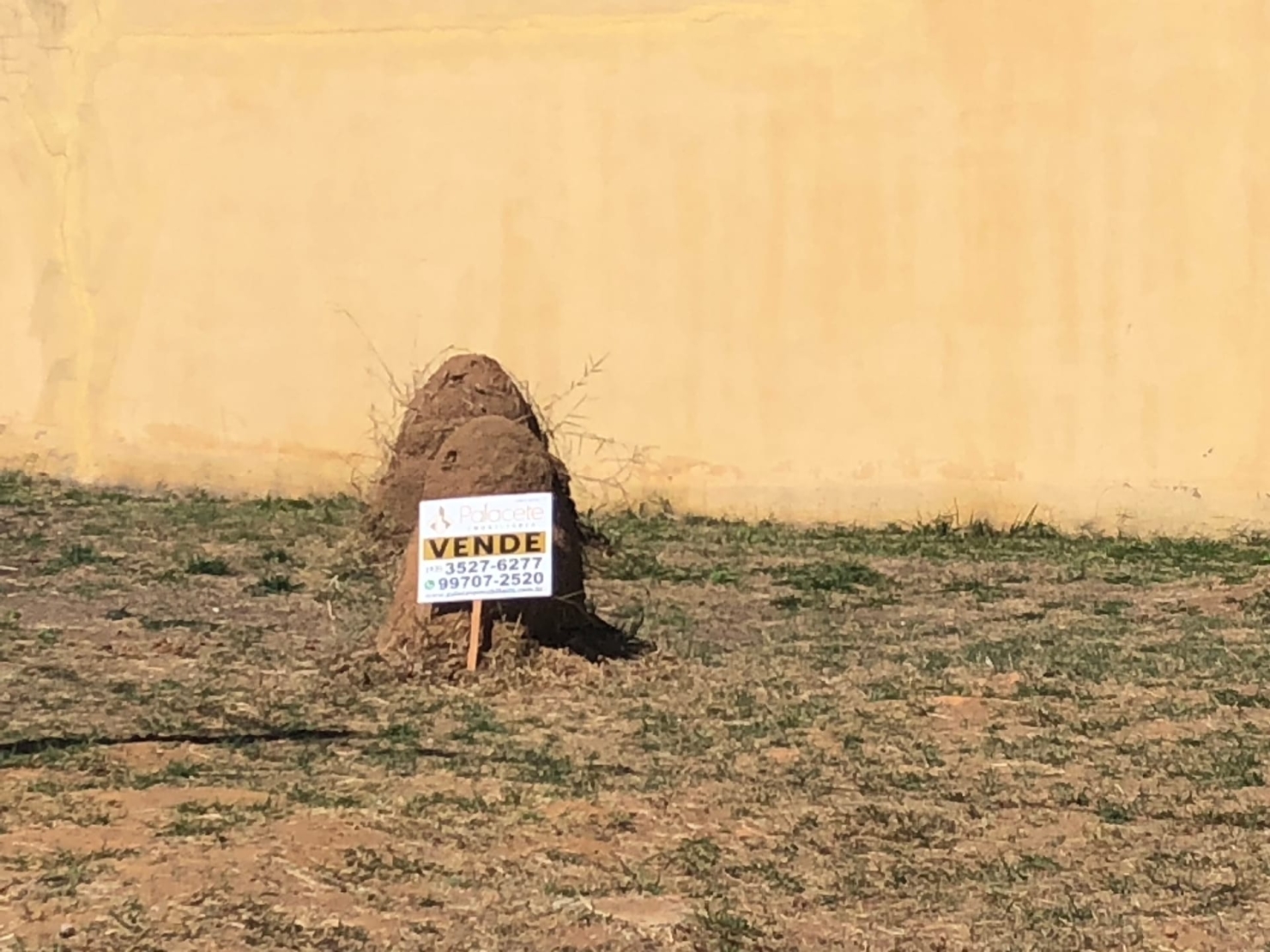 Terreno, 344 m² - Foto 11