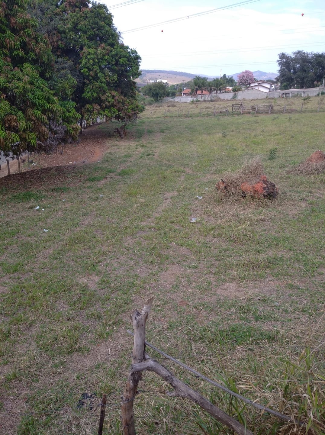 Terreno à venda, 5000m² - Foto 2
