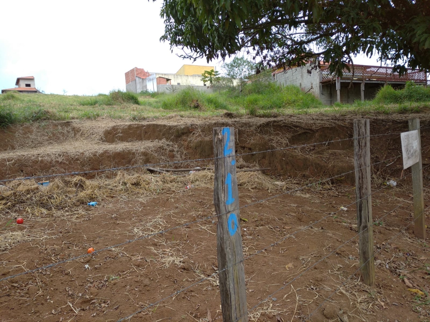 Terreno à venda, 5000m² - Foto 3