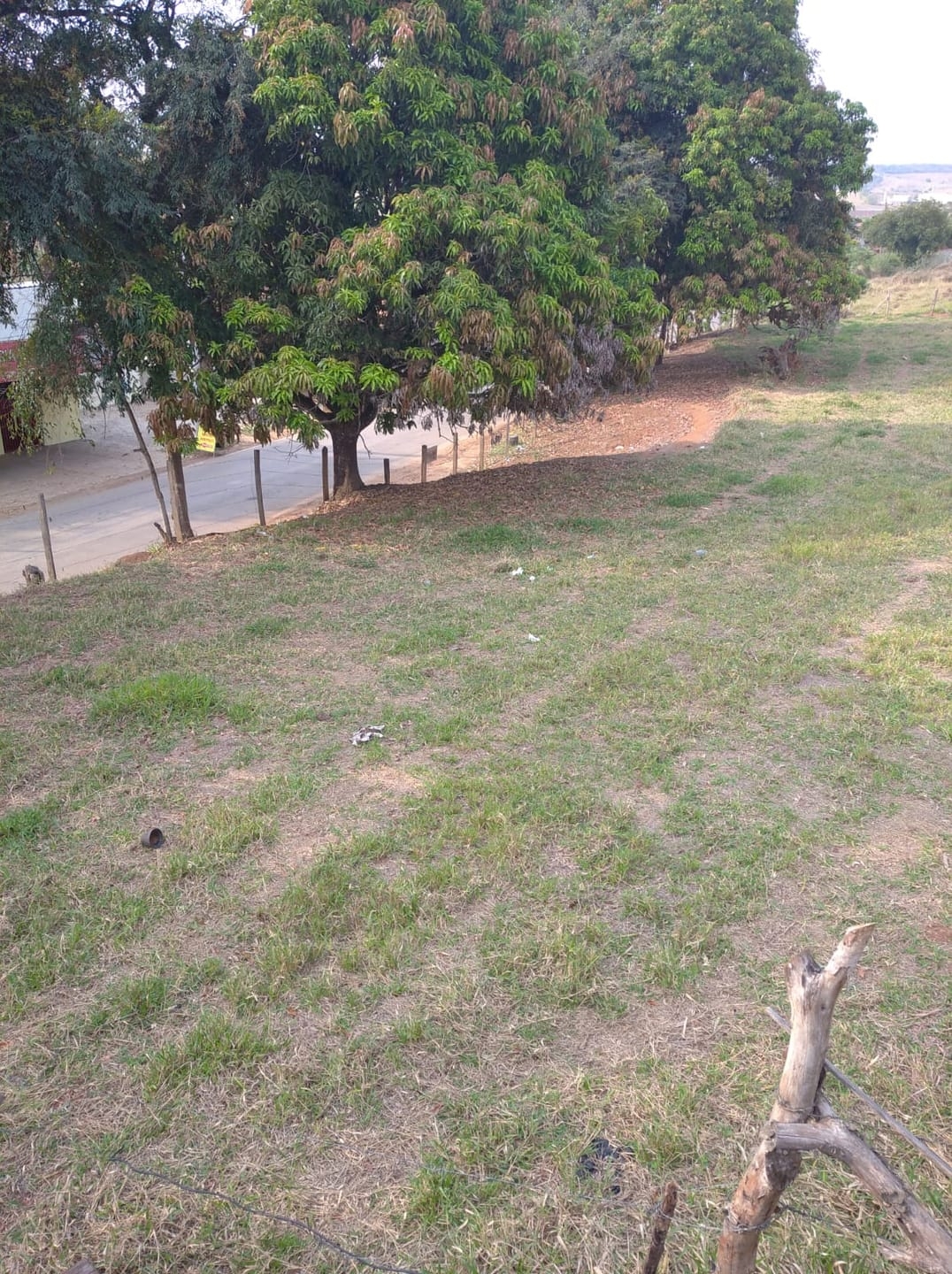 Terreno à venda, 5000m² - Foto 4