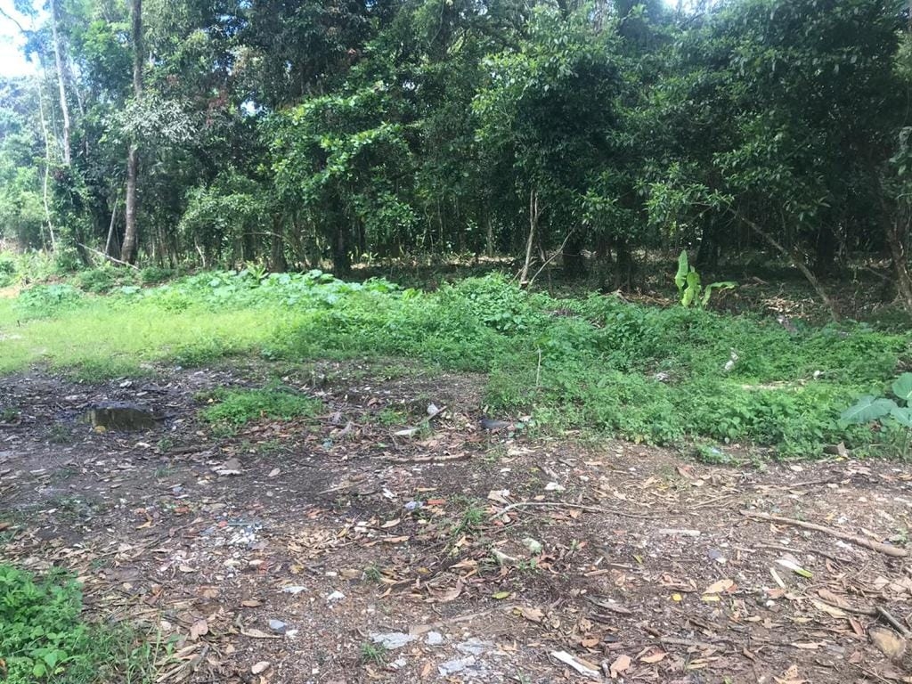 Terreno, 1423 m² - Foto 1