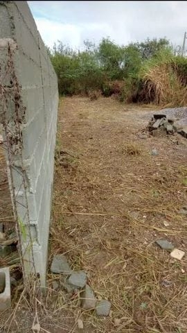Terreno à venda - Foto 1