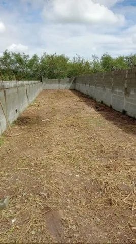 Terreno à venda - Foto 2