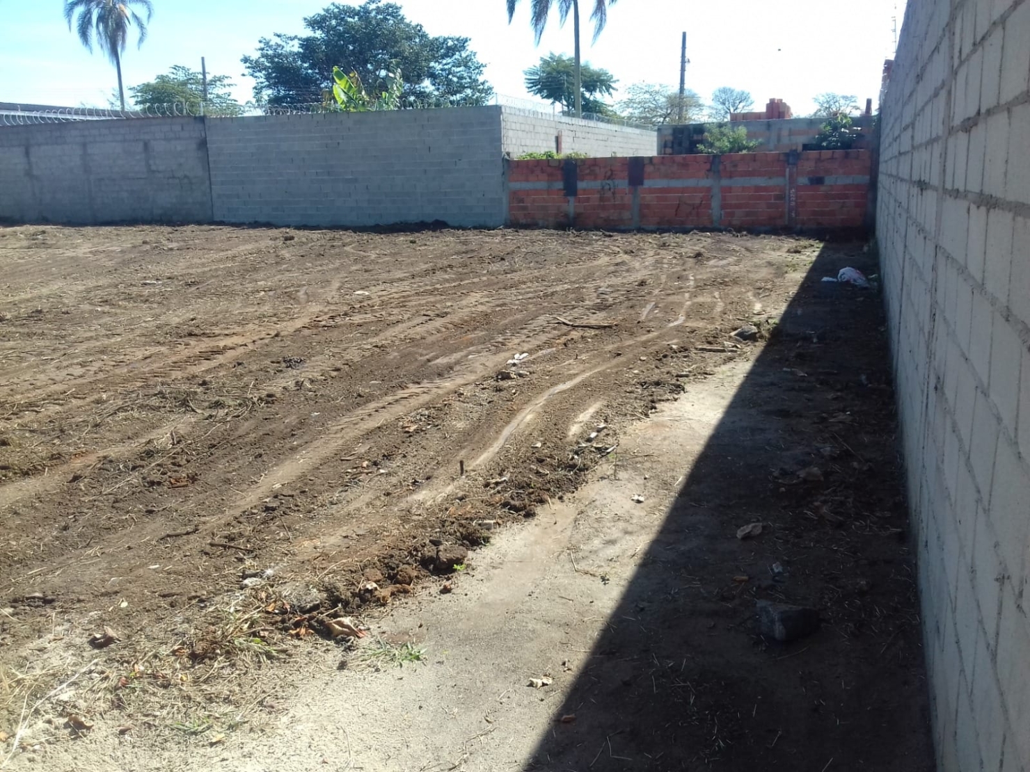 Terreno à venda e aluguel, 750m² - Foto 6