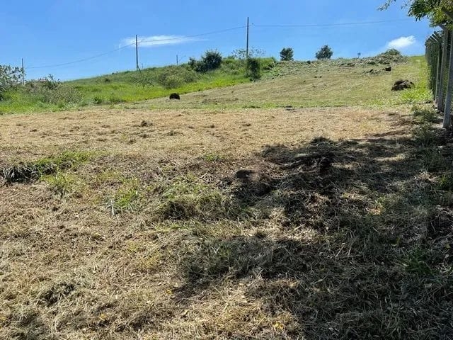 Terreno, 2334 m² - Foto 9