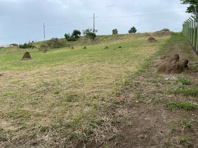 Terreno, 2334 m² - Foto 12