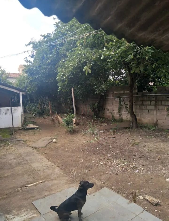 Terreno, 410 m² - Foto 4