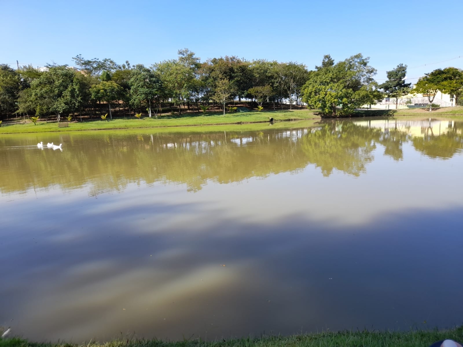 Terreno, 480 m² - Foto 5