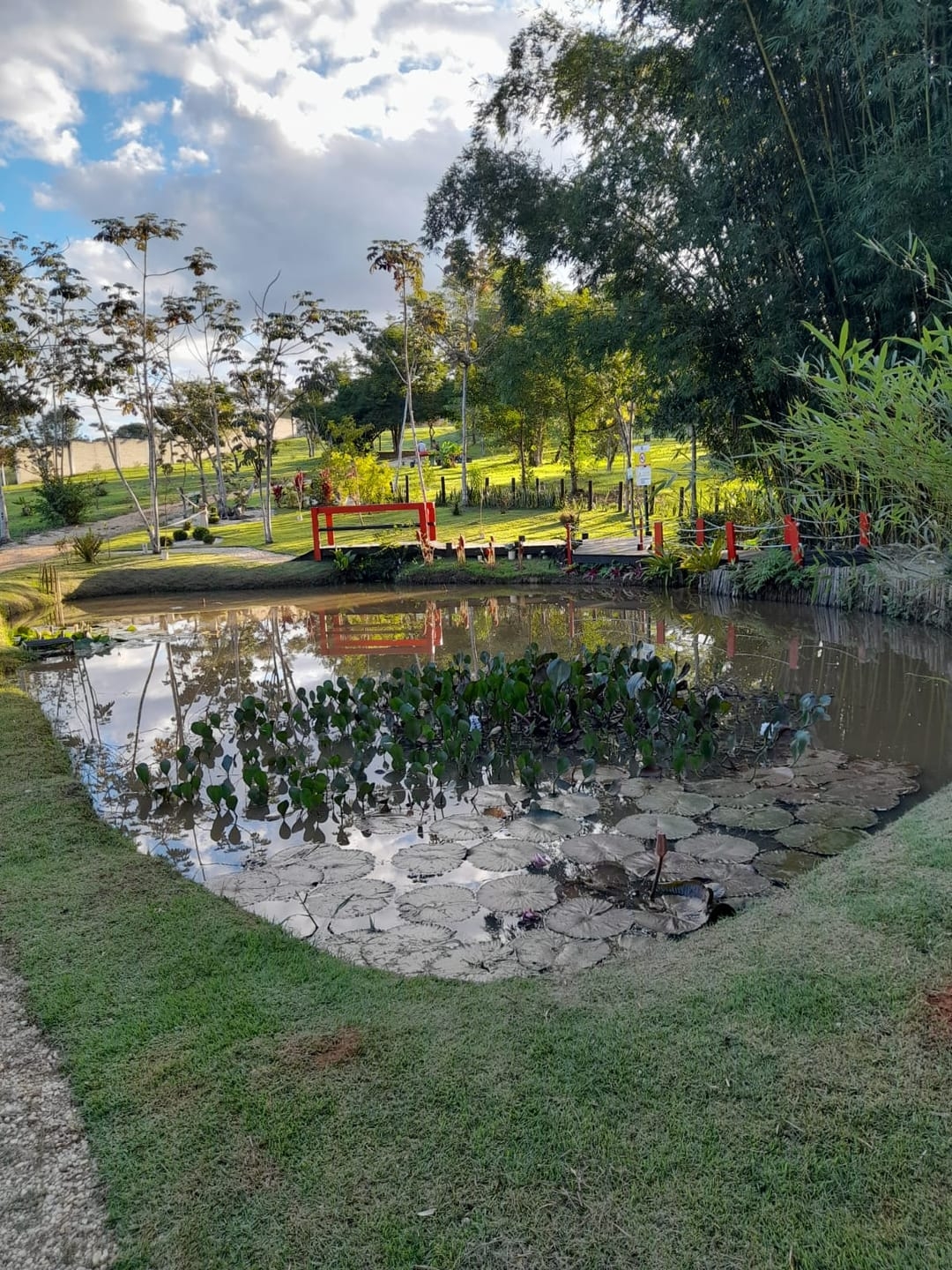 Terreno, 480 m² - Foto 7