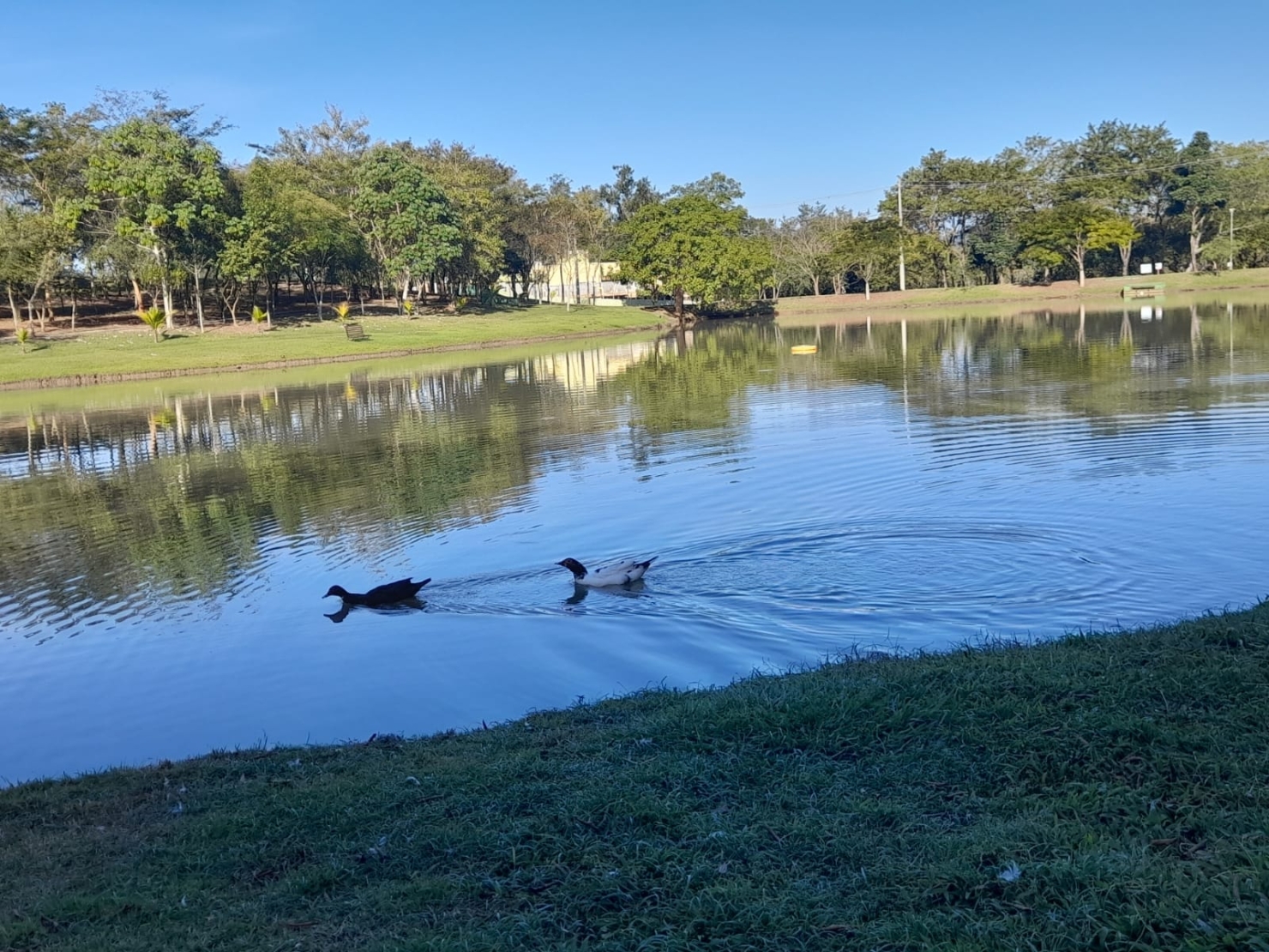 Terreno, 480 m² - Foto 16