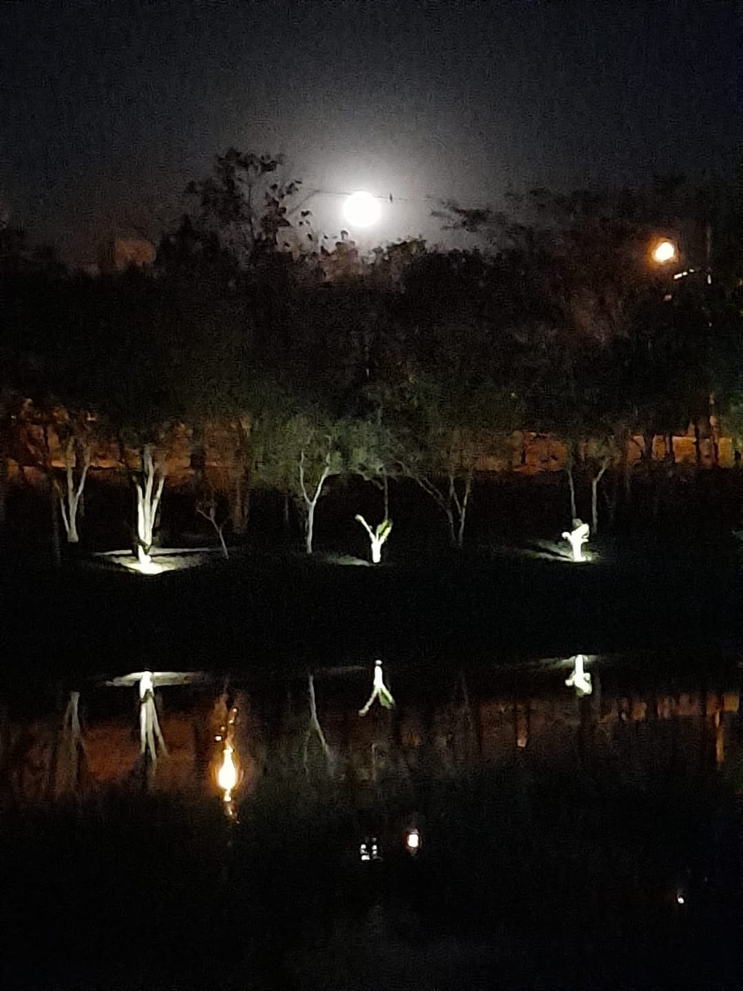 Terreno, 480 m² - Foto 18