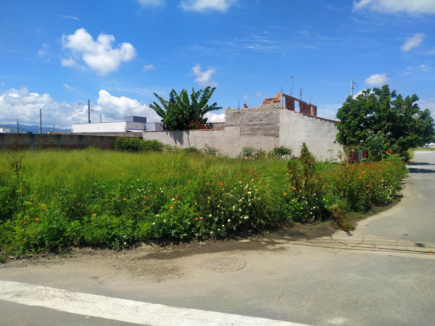 Terreno, 196 m² - Foto 1