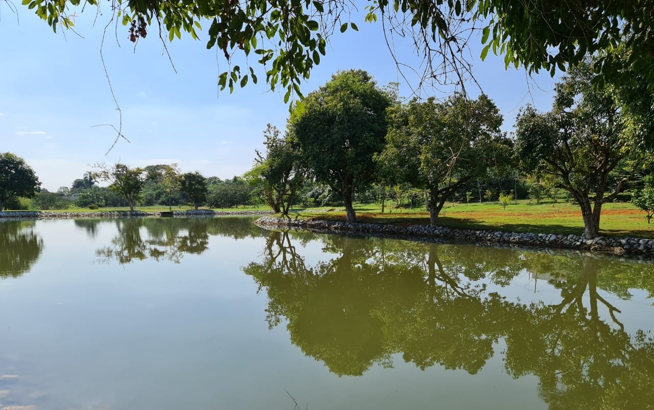 Terreno, 324 m² - Foto 2