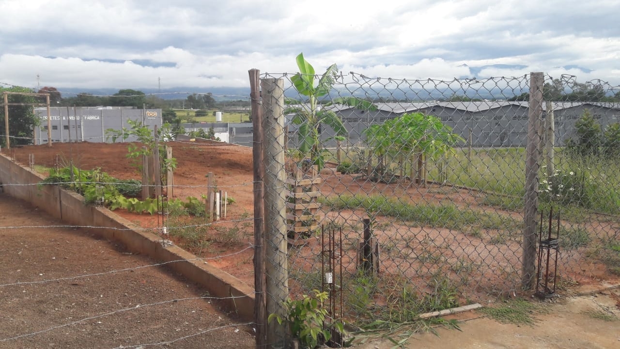 Terreno, 210 m² - Foto 4