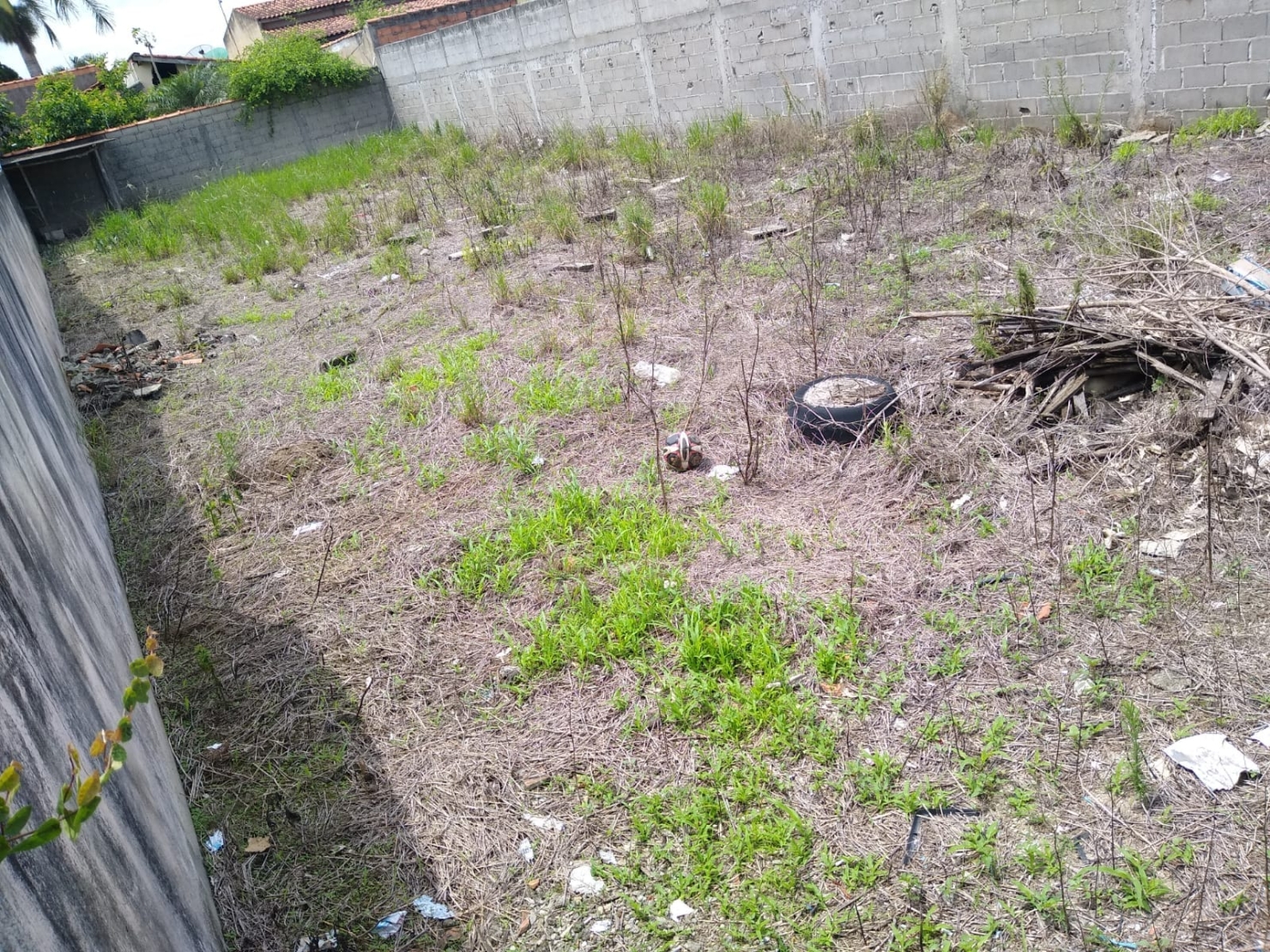 Terreno, 300 m² - Foto 4