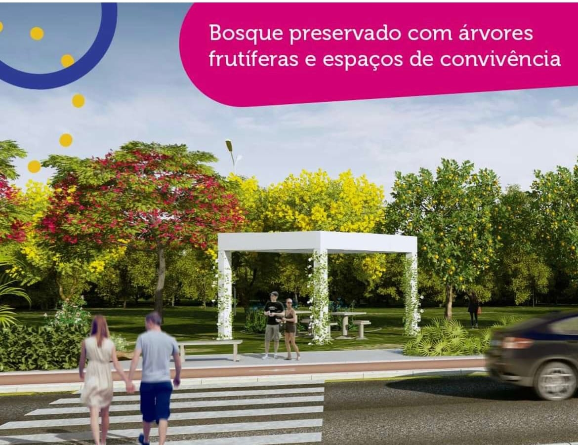 Terreno, 150 m² - Foto 4