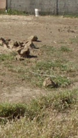 Terreno, 190 m² - Foto 1