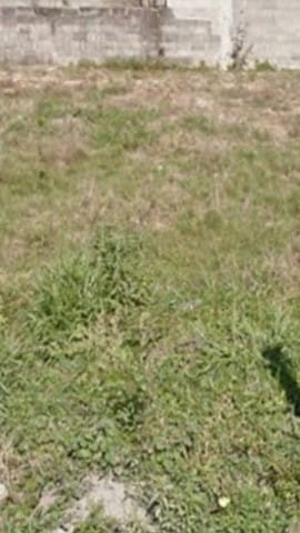 Terreno, 190 m² - Foto 2