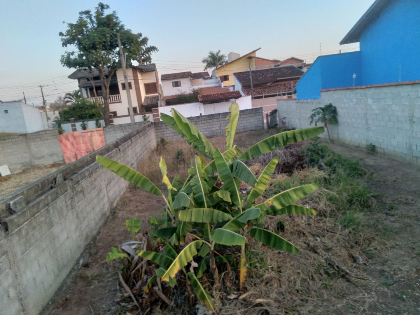 Terreno à venda, 250m² - Foto 2