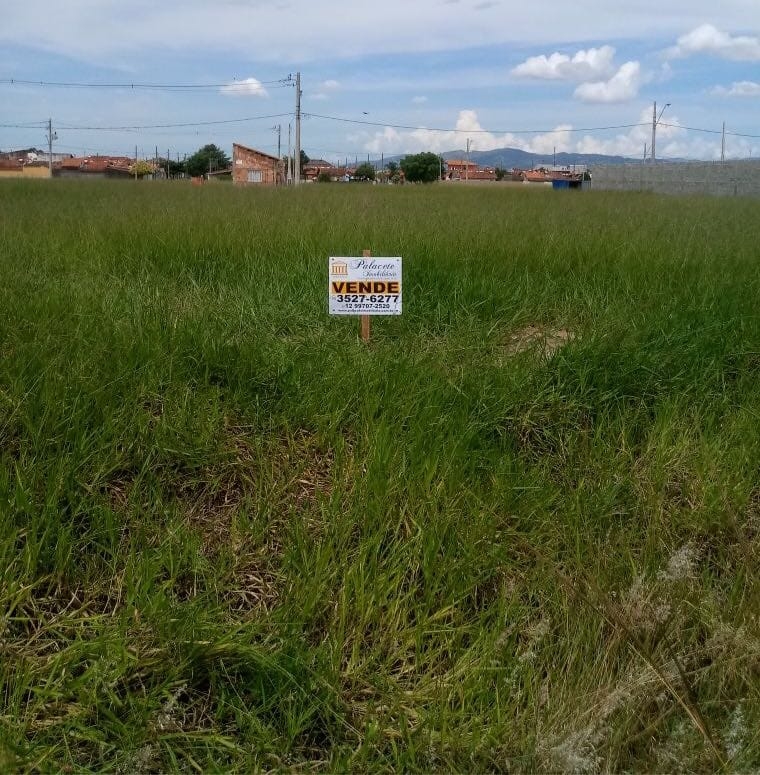 Terreno à venda, 250m² - Foto 2