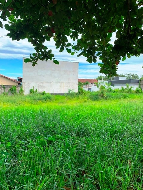 Terreno à venda, 250m² - Foto 2