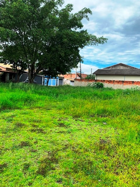 Terreno à venda, 250m² - Foto 4