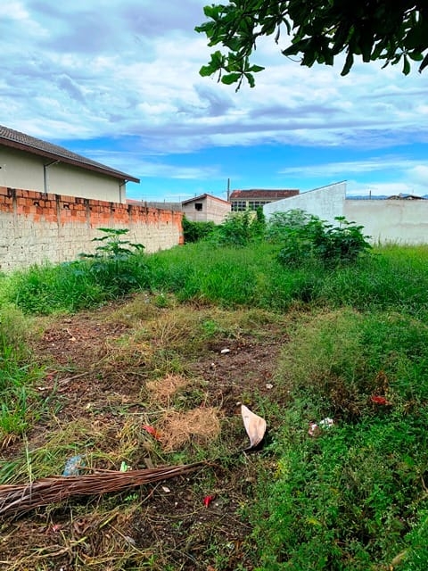 Terreno à venda, 250m² - Foto 8