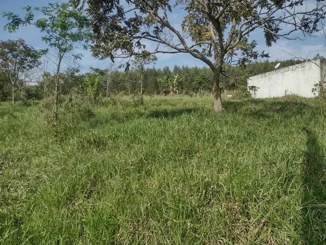 Terreno, 1000 m² - Foto 1