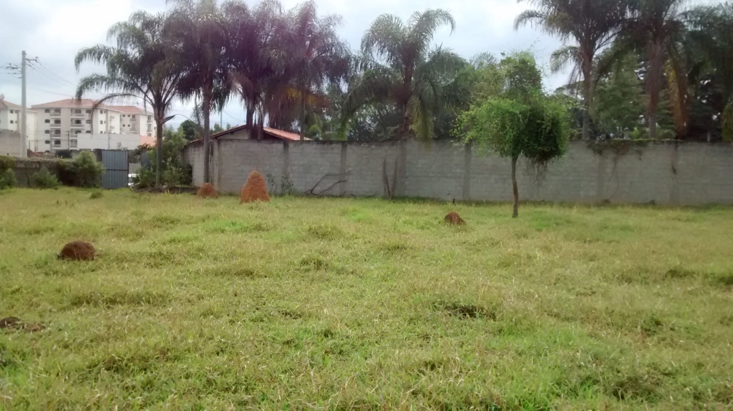 Terreno à venda, 52000m² - Foto 4