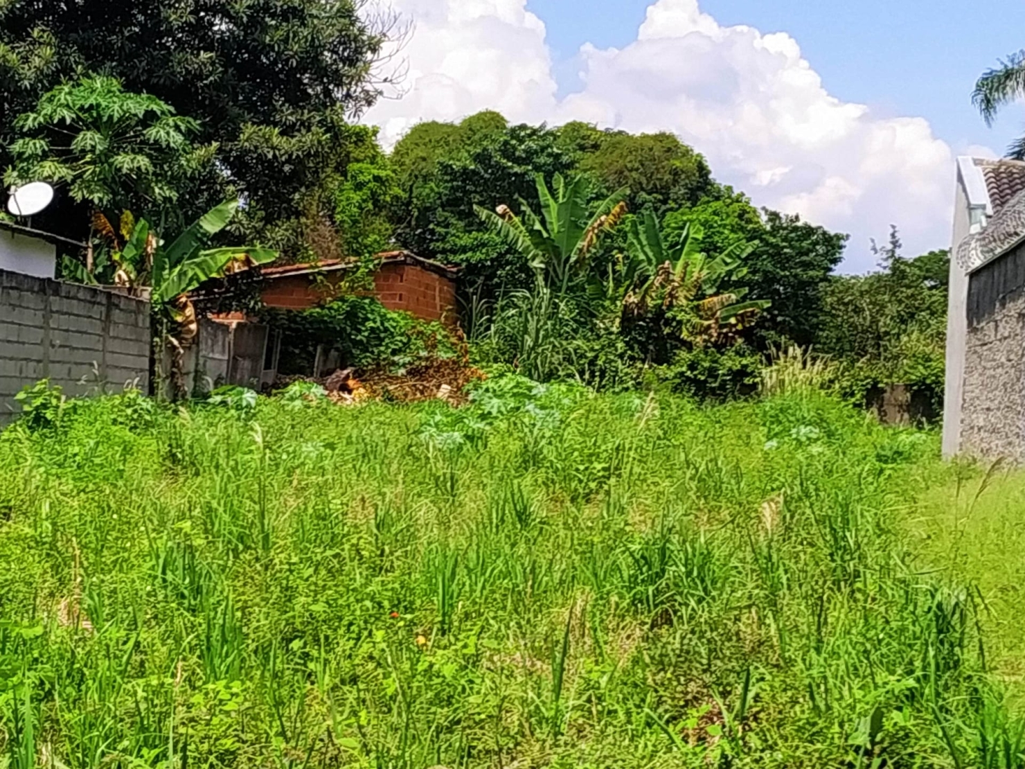 Terreno à venda, 770m² - Foto 4