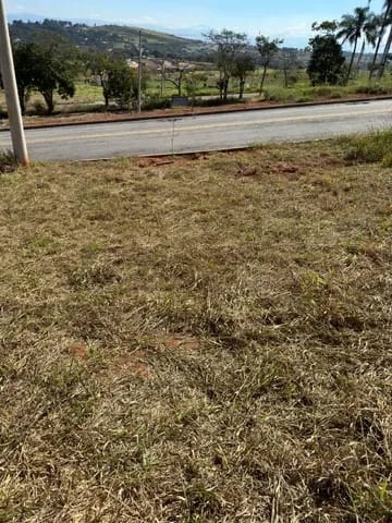 Terreno à venda, 250m² - Foto 2