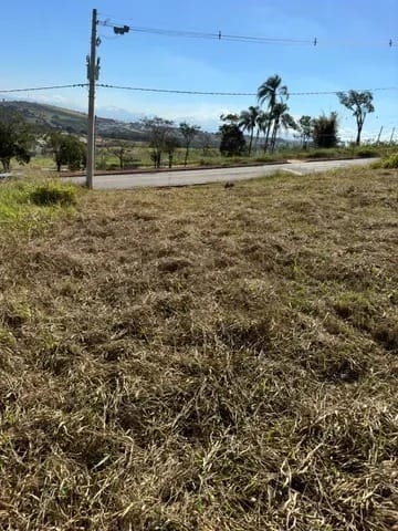 Terreno à venda, 250m² - Foto 3