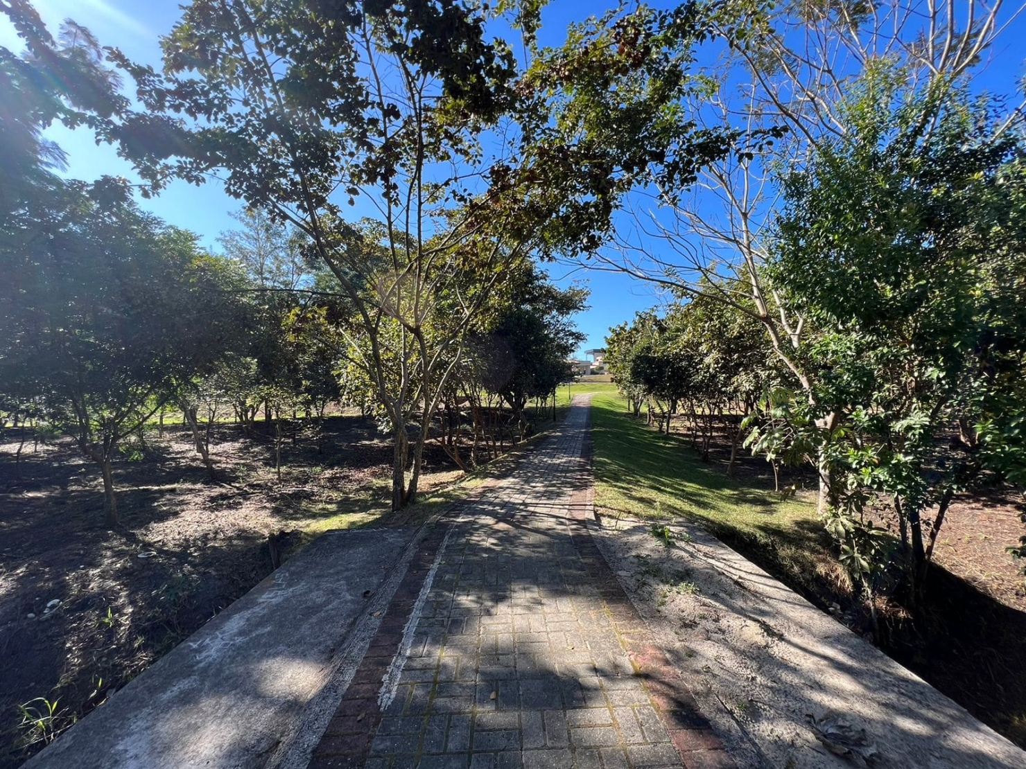 Terreno, 968 m² - Foto 18